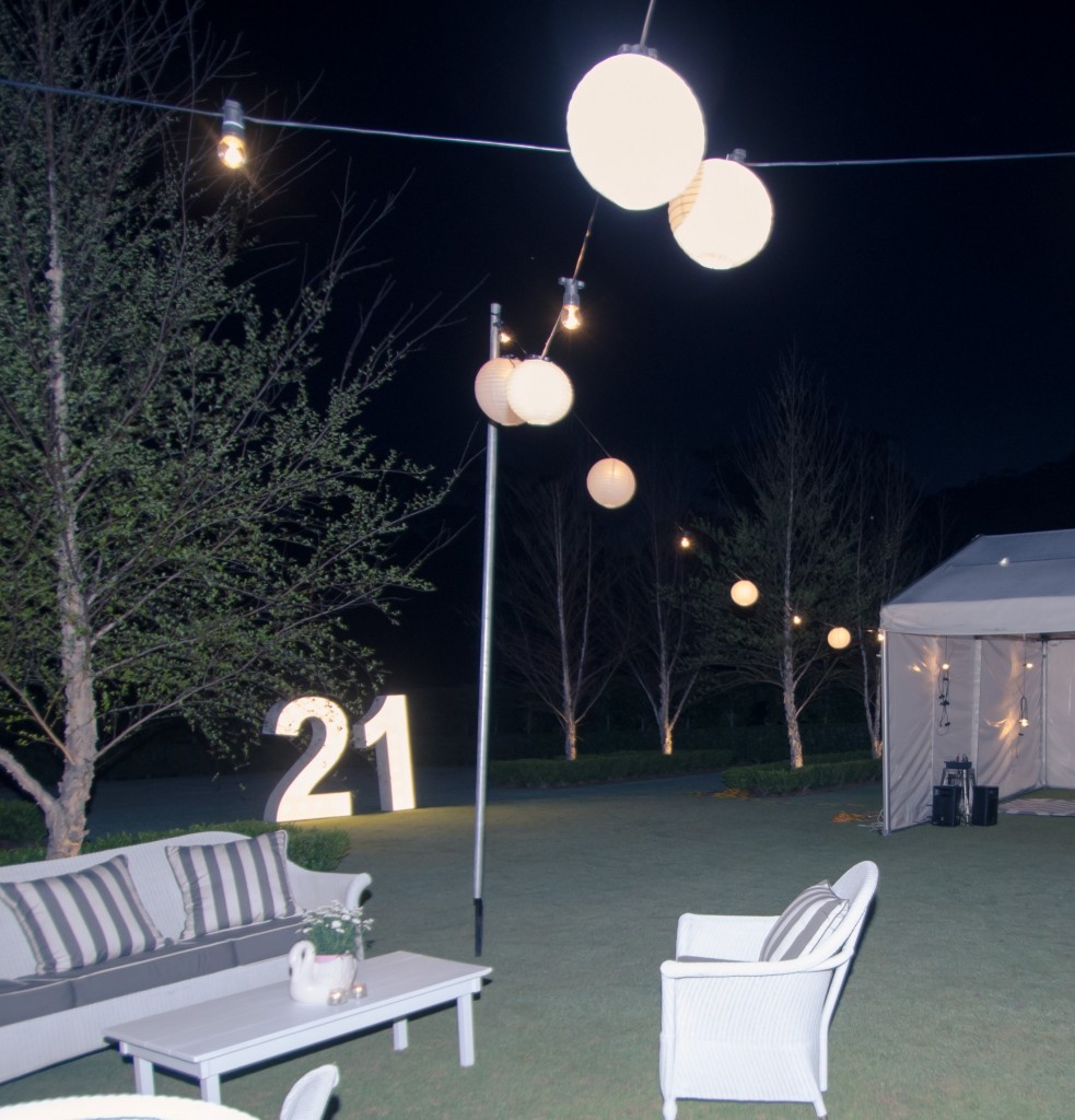 LED Vintage White Festoon Lights 15m Alfie's Event Hire